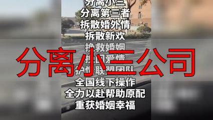 分离小三公司