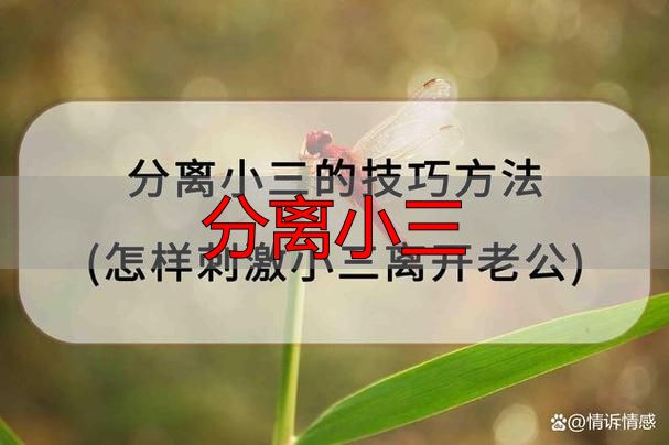 分离小三