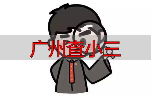 广州查小三
