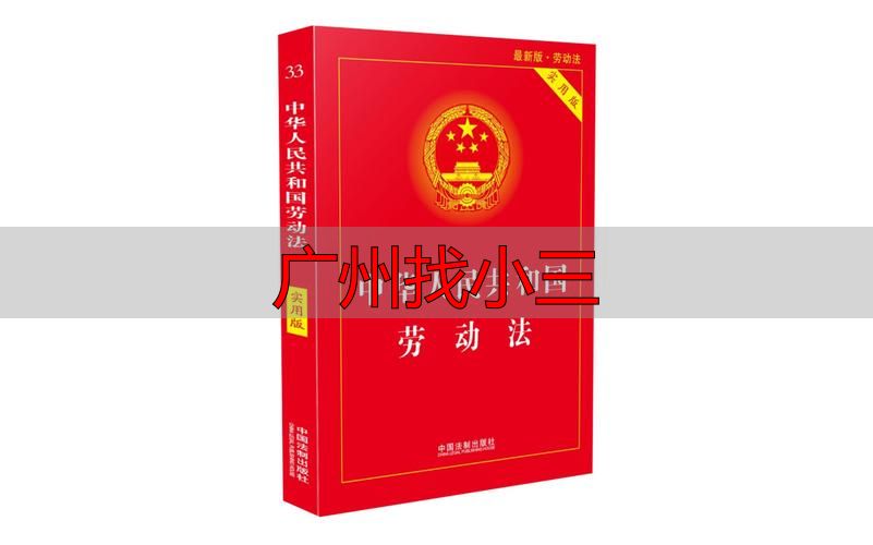 广州找小三