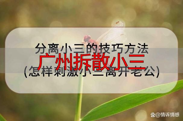 广州找分离小三专家可信机构专业方法指南