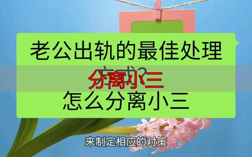 分离小三