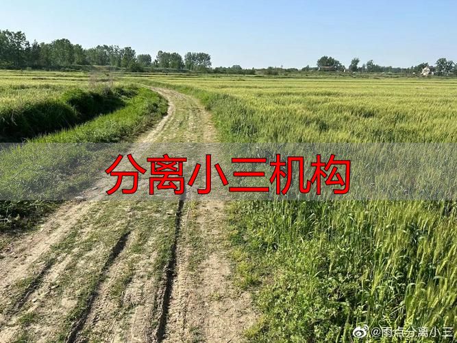 分离小三机构