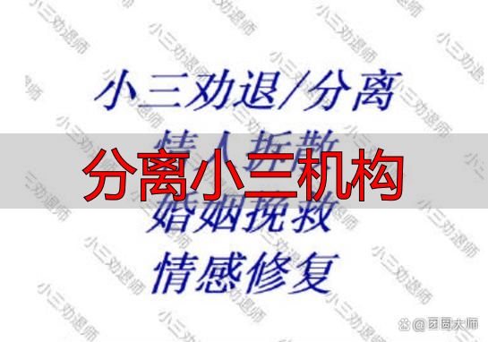 分离小三机构