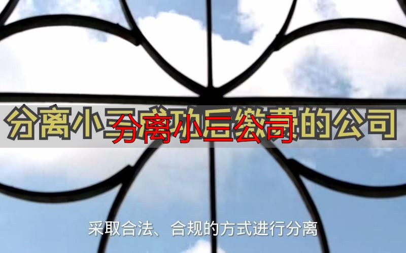 分离小三公司