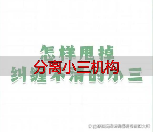 分离小三机构