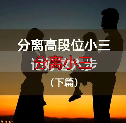 分离小三