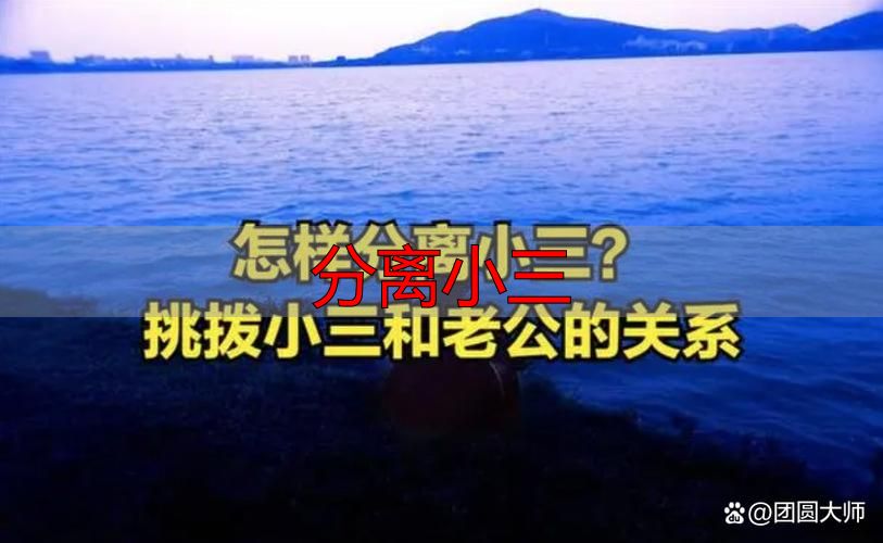 分离小三