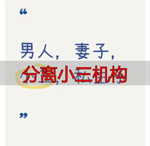 分离小三机构