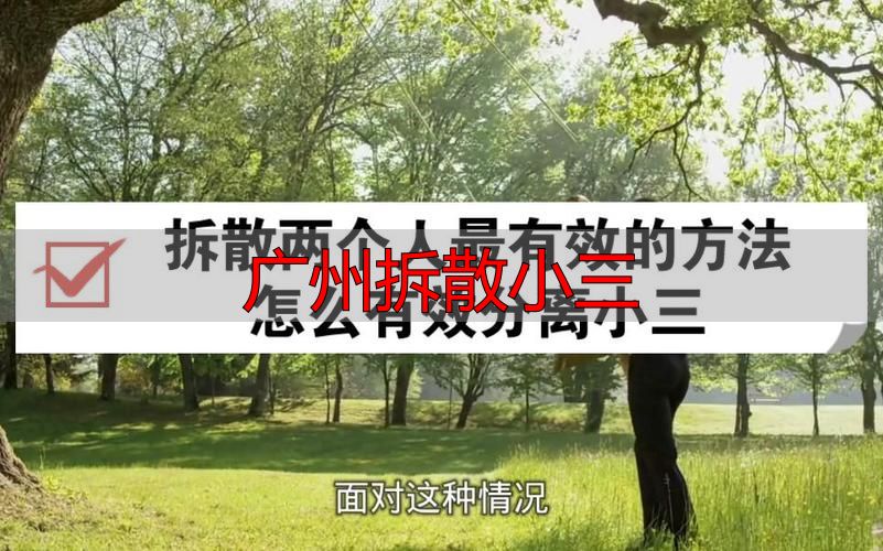 广州拆散小三