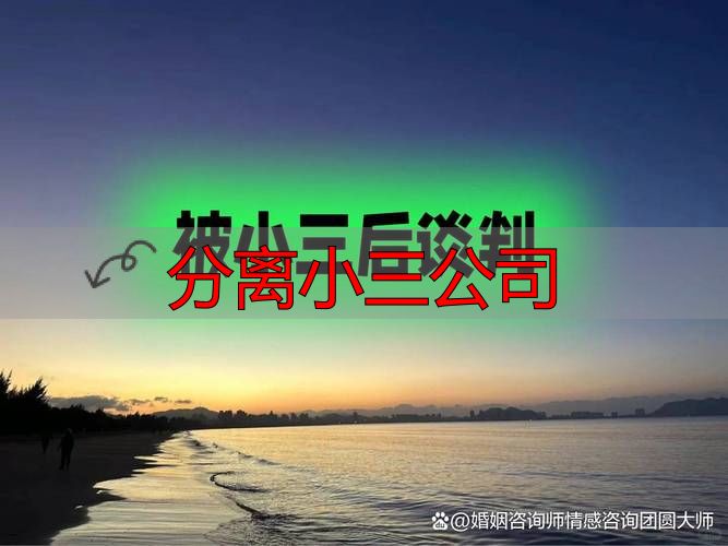 分离小三公司