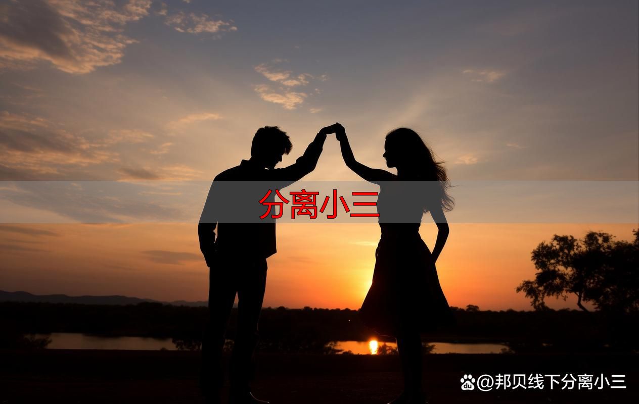 分离小三