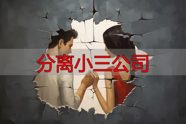 分离小三公司