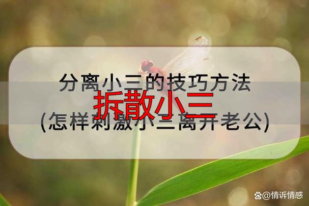 老公出轨怎么分离小三？用对方法让小三主动退出