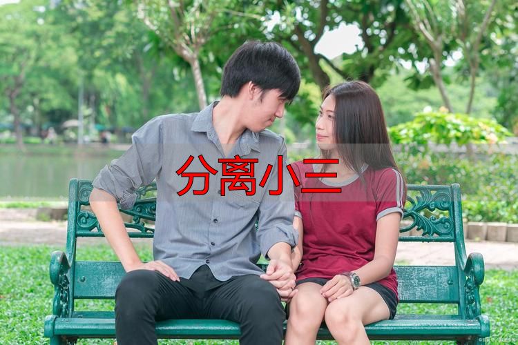 分离小三