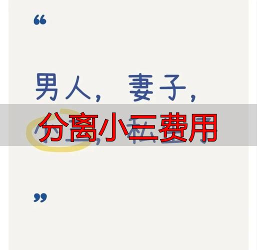 分离小三费用揭秘：劝退第三者需要多少钱？收费标准全解析