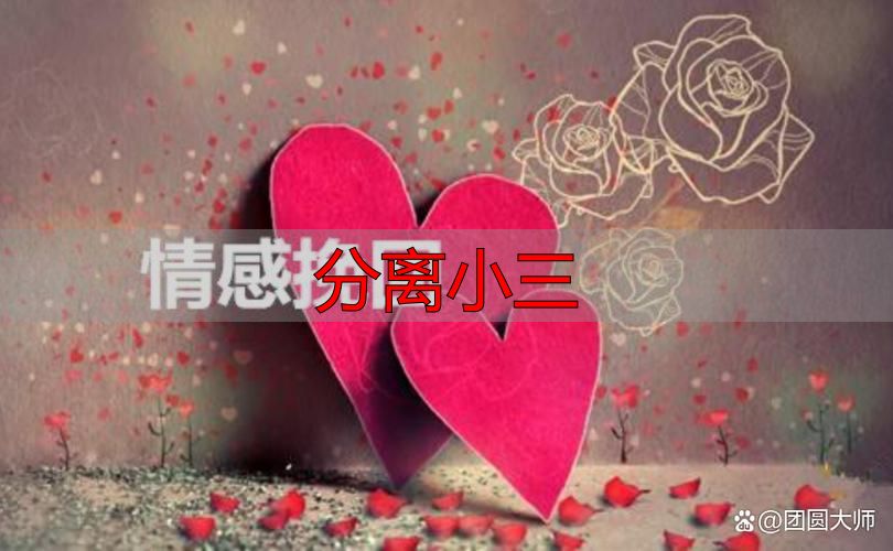 分离小三
