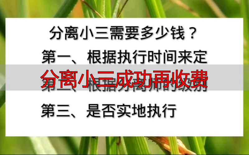 分离小三成功再收费