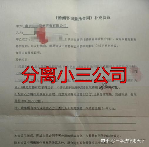 分离小三公司