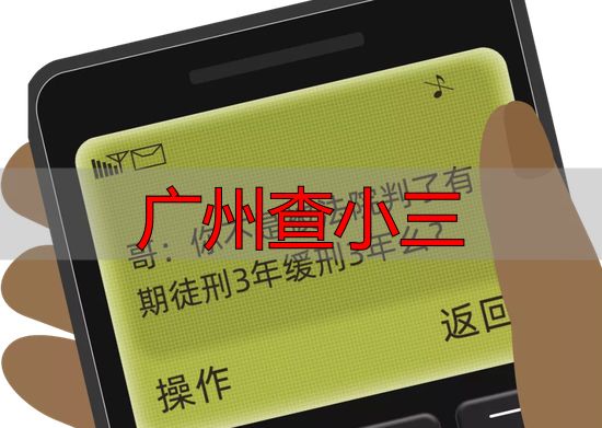 广州查小三