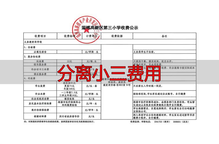 分离小三费用