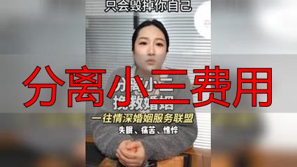 分离小三费用