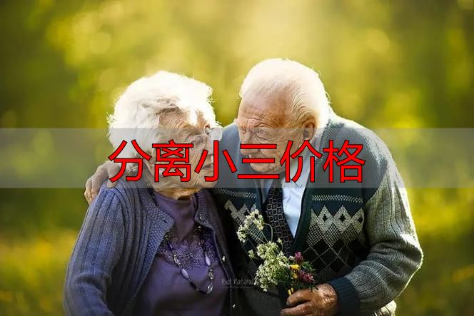 正规婚姻情感调解分离第三者价格明细 2026最新收费标准说明