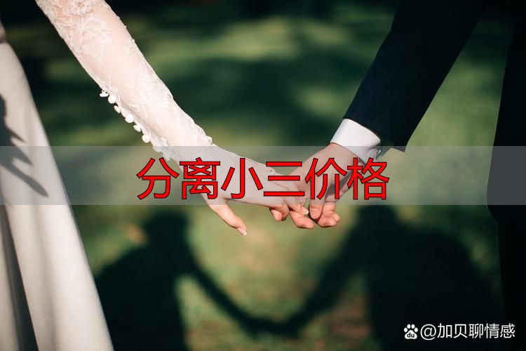 分离小三价格