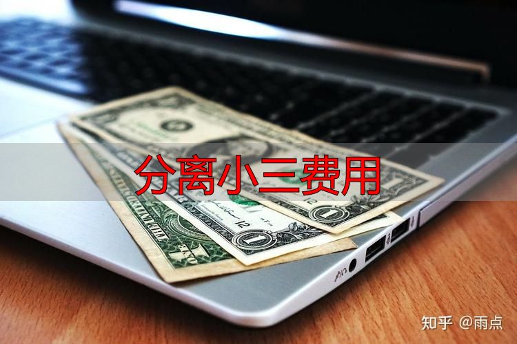 分离小三费用