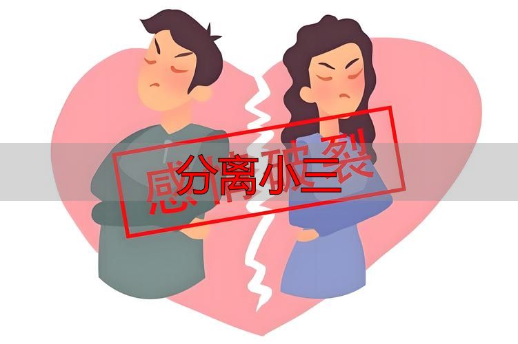 正规婚姻家庭情感调节 合规实现第三者关系专业化分离