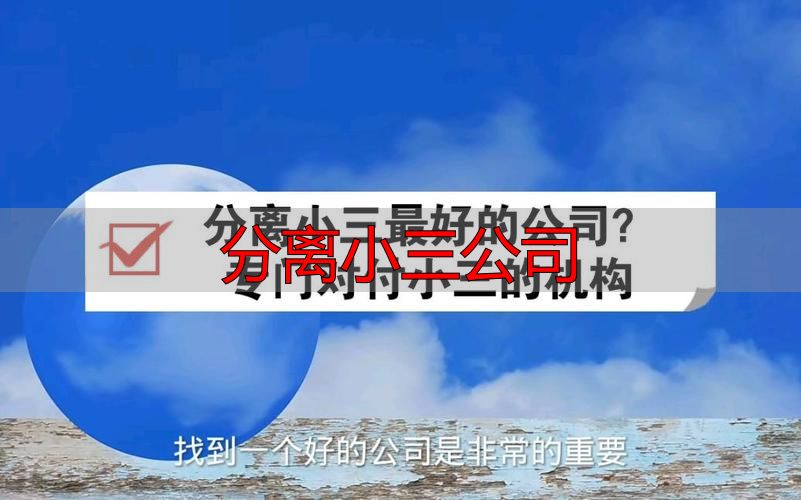 分离小三公司