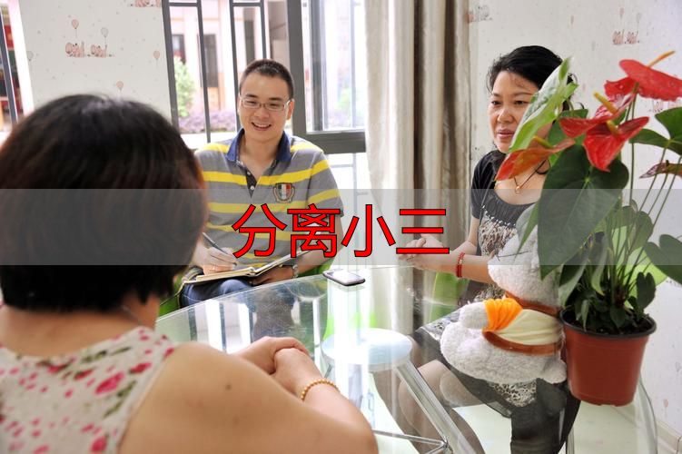 分离小三