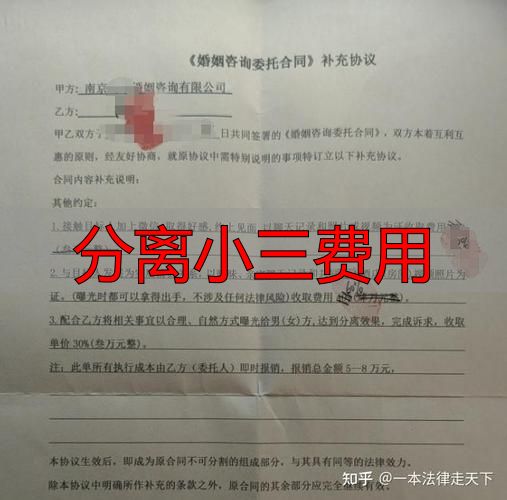 分离小三费用
