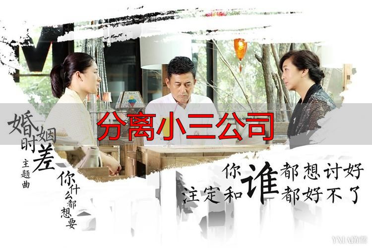 分离小三公司