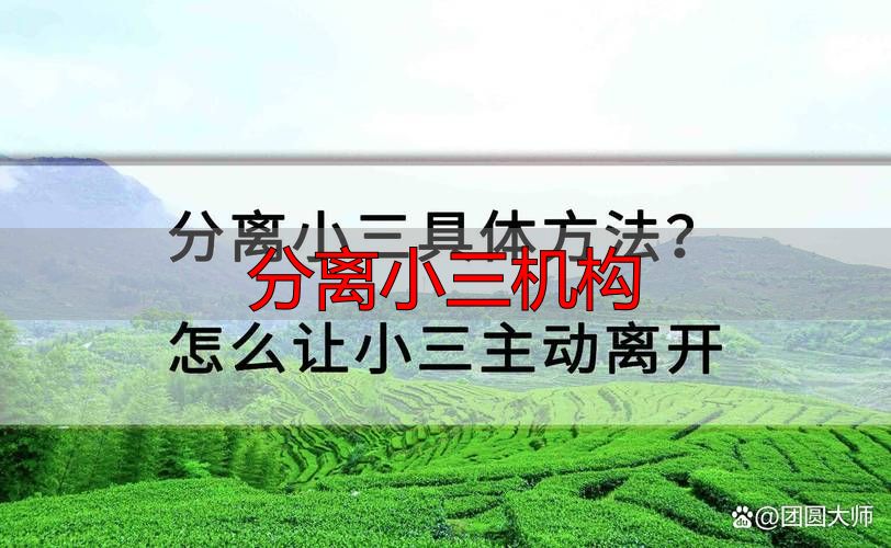 分离小三机构