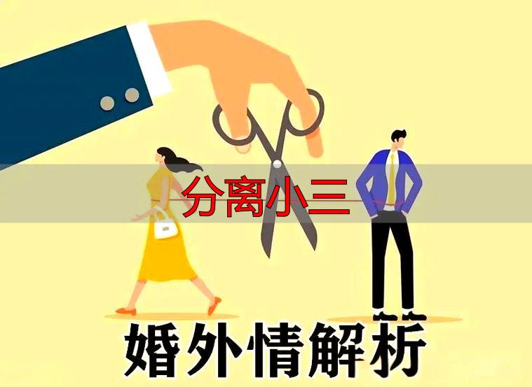分离小三