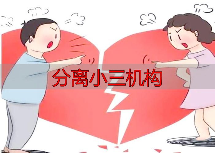 分离小三机构