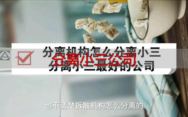 分离小三公司