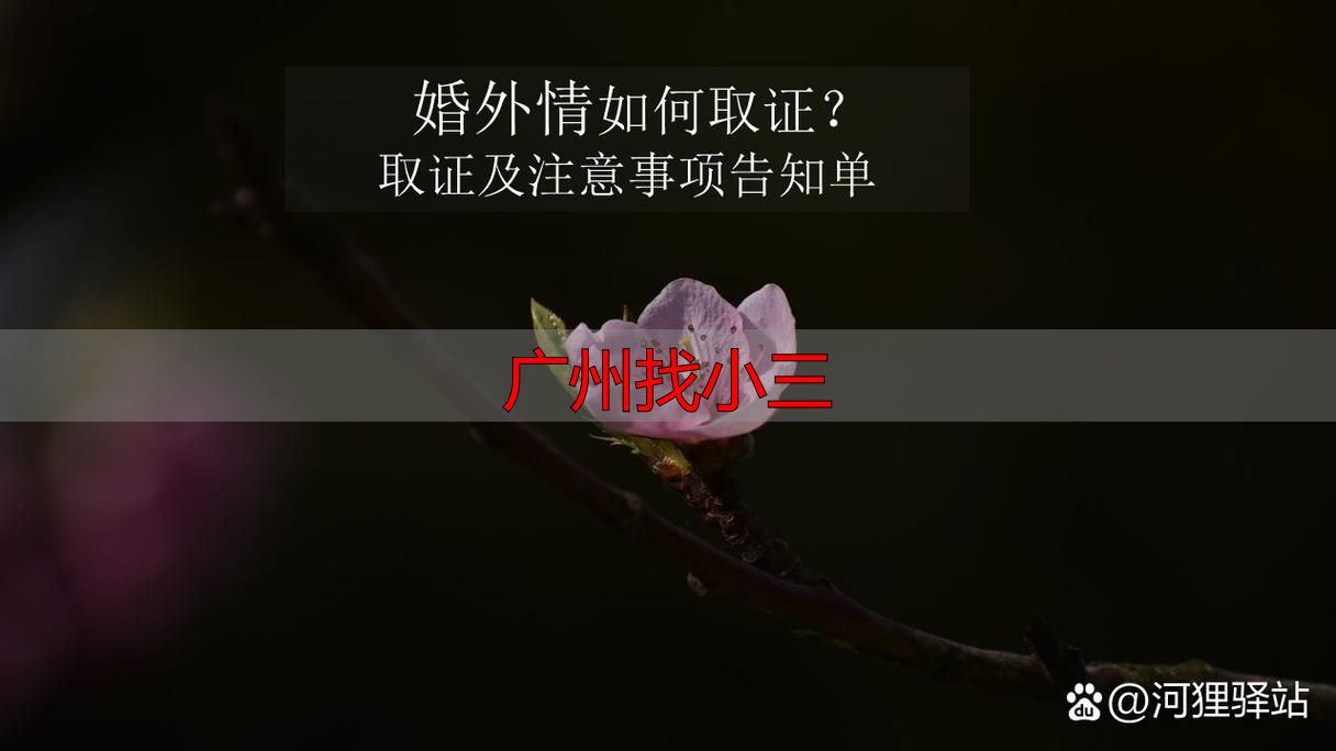 广州找小三