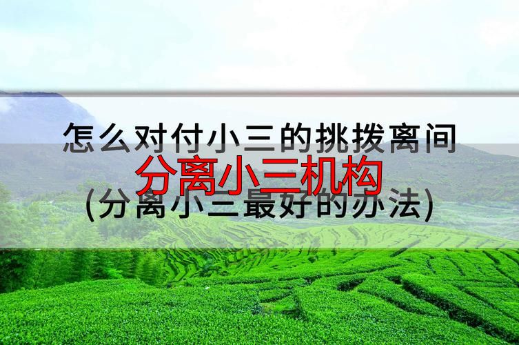 如何筛选正规分离小三机构？官方避坑指南与合规建议