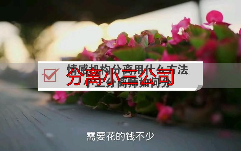 专业分离小三公司全攻略：合法取证与情感阻断标准流程