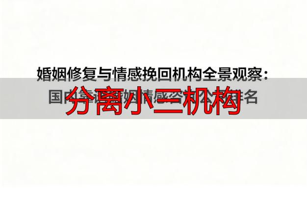 分离小三机构
