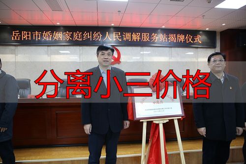 婚姻危机干预服务收费标准及透明化说明