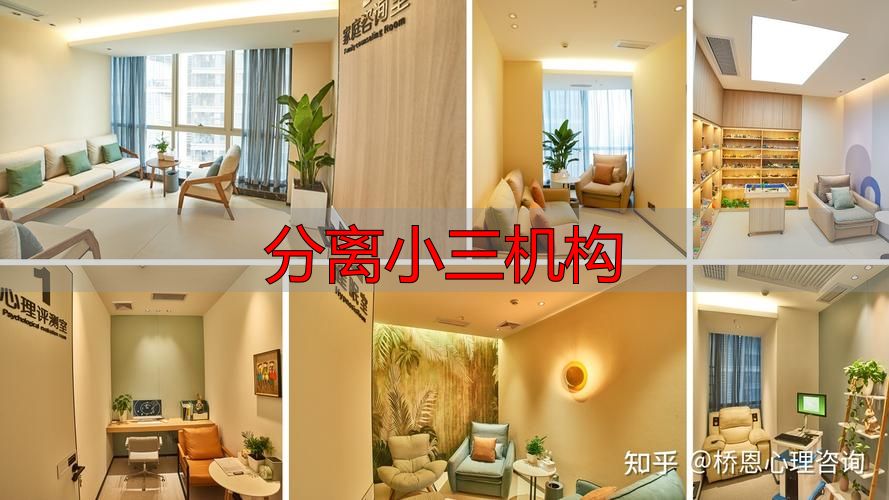 分离小三机构