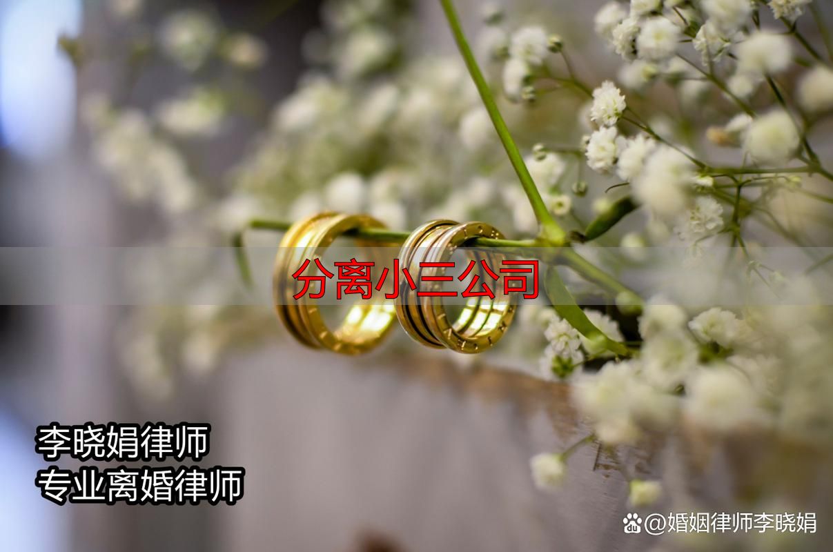 专业机构协助分离婚外第三者：正规流程与法律边界解析