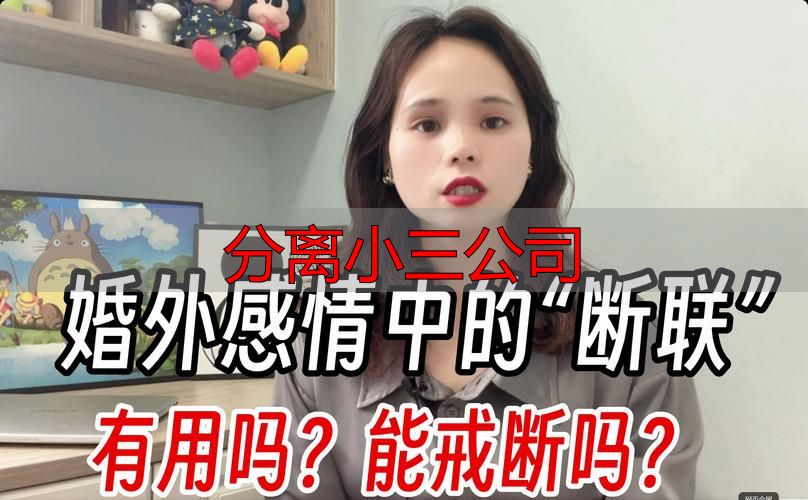 分离小三公司