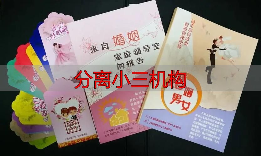 分离小三机构