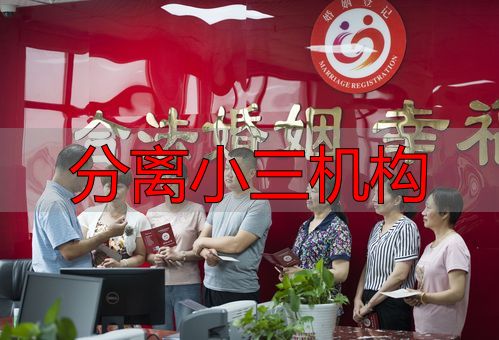 分离小三机构