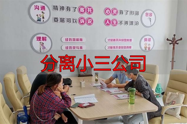婚姻危机干预与情感修复专业指南