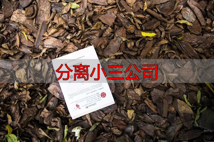 分离小三公司